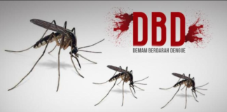 Virus DBD Ancaman Nyata di Tanah Air, Jumlah Kasusnya Setara Virus Corona