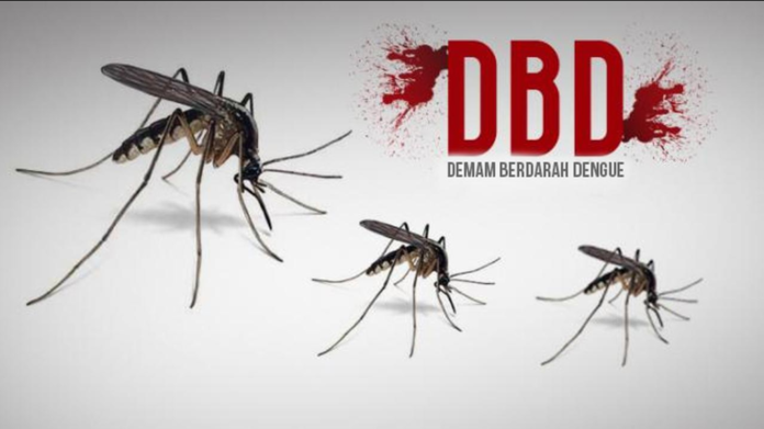Virus DBD Ancaman Nyata di Tanah Air, Jumlah Kasusnya Setara Virus Corona