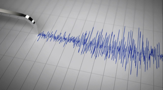 Gempa Magnitudo 6,6 Getarkan Bali, Tidak Berpotensi Tsunami