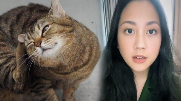 Viral di IG, Sherina Mengecam Kasus Peculikan Kucing dan Penjualan daging kucing 70 Ribu Per Kg