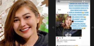 Mantan Personel Trio Macan ini Sempat Membalas Komentar Artis ini Sebelum Kecelakaan dan jadi Kata Terakhirnya